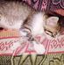 Floridalma Ramirez - Facebook