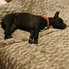 Florin Ivan - @florin.ivan870 - TikTok