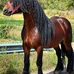 Florin Muntean - Facebook