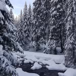 Florin Savin - @florin__savin - Instagram