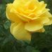Florin Stan - Facebook