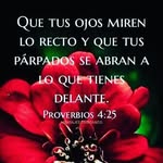 Florina Ramirez - @florinaramirez21 - Instagram
