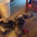 Florine Michael - Facebook