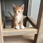 Floris Jansen - @floris_163 - Instagram