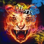 Floris Kruger - @kruger_floris - Instagram
