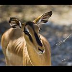 Floris Kruger - @kruger.floris - Instagram