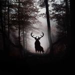 thefunguy - @floriskruger60 - Instagram