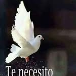 Flory Gonzalez - @flory.gonzalez.180 - Instagram