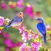 Flory Kabamba - Facebook