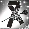 # floryrodriguez## - @dorcass3547gfj819 - TikTok