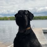 Flossie Warford Brown - @flossiewarfordbrown - Instagram