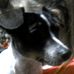 Flossie Hicks - Facebook
