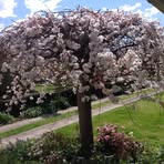 Flossie Hunter - Facebook