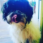 flossie - @flossie_peanutia__royales_ - Instagram