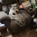 Flossie Sims - @flossiesims - Instagram