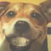 Flossie Walker - Facebook