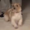 floss - @flossiewattss - TikTok