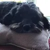 flossiewarren - @flossie_warren - TikTok