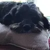 flossiewarren - @flossie_warren - TikTok