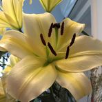 Flower Cloud Mary - Facebook