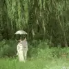 Sopa de pollo - @flowers.diaz - TikTok