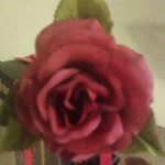 Flower Robinson - @flowerrobinson - Instagram