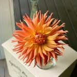 Robinson Retreats Flower Farm - @robinsonretreatsflowerfarm - Instagram