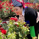 Pa Vang - @flower_vang - Instagram