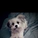 Flo Estes - Facebook