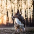 Floyd Ackerman - Facebook