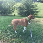 Floyd Alexander - @floydalexander4 - Instagram