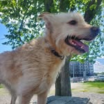 Floyd Alexander - @fapelkey - Instagram