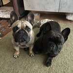 Floyd Amos de la Selva and Innoko Kanedaia Imperial - @han_thesoloone - Instagram