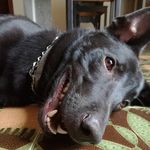 Aragon Floyd - @aragon_floyd - Instagram