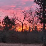 Terri Ann Floyd Armijo - Facebook