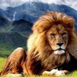 Floyd Barber Jr - @floyd.barberjr - Instagram
