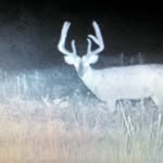 Landon Floyd Barfield - @down_town345 - Instagram