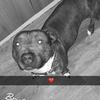 Barney_floyd - @barney_floyd123 - TikTok
