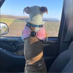 Floyd James Barrett - @floydbarrett344 - Instagram
