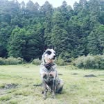 barrett.floyd.06 - @barrett.floyd.06 - Instagram