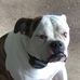 Floyd Bean - Facebook