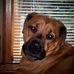Floyd Bean - Facebook