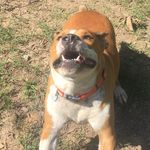 Floyd “Stryker” Beasley - @bigdogstryker - Instagram
