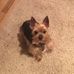 Floyd Bergeron - Facebook