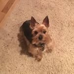 Floyd Bergeron - @floydbergeron - Instagram