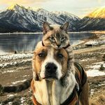 bernard floyd - @bernardfloyd200 - Instagram