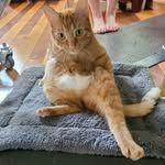 Floyd "bird" - @birdthacat - Instagram