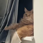 Floyd - @birdwatcher_floyd - Instagram