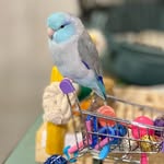 Floyd Hallman Partido - @prettybirdfloyd - Instagram