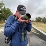 Ted Floyd - @tedfloydbirds - Instagram